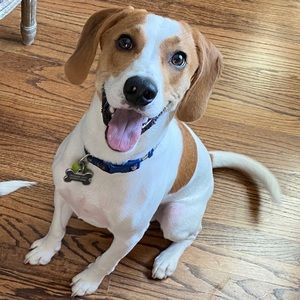 Meet your Posher, Tim